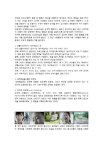 [소비자행동론] 제3장 문제의 인식 정보의 탐색, 제6장 소비자 정보처리과정, 제10장 학습, 제11장 개성과 라이프스타일-8