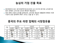 [국제마케팅] 농심의 중국 시장 진입 및 확대 전략-4