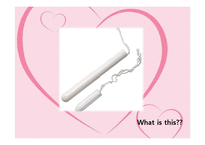 [경영학원론] 플레이텍스(playtex) 기업분석 및 마케팅 전략(영문)-2