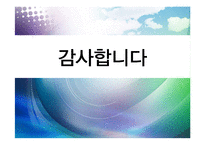 [행정학원론] 차세대 IDC 그린화 추진방안-17