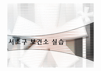 보건소의 보건사업 조사 및 현장실습-1