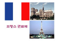 [정부관료제론] 프랑스 관료제-1