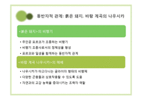 미야자키 하야오의 작품에 나타나는 기계관 분석-13