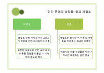 미야자키 하야오의 작품에 나타나는 기계관 분석-17