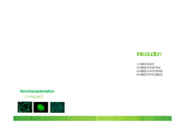 이종이식(Xenotransplantation)과 무균돼지-3