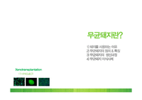이종이식(Xenotransplantation)과 무균돼지-8