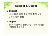 pH변화에 따른 뿌리 생장 변화-3