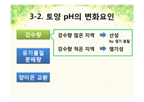 pH변화에 따른 뿌리 생장 변화-6