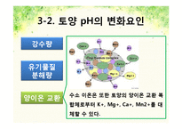 pH변화에 따른 뿌리 생장 변화-8