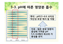 pH변화에 따른 뿌리 생장 변화-9