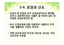 pH변화에 따른 뿌리 생장 변화-10