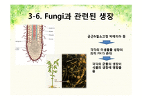 pH변화에 따른 뿌리 생장 변화-12