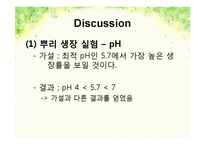 pH변화에 따른 뿌리 생장 변화-19