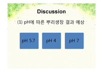 pH변화에 따른 뿌리 생장 변화-20