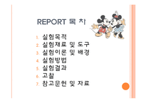 [독성학] 실험 동물 다루는 법-2