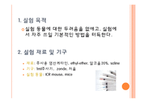 [독성학] 실험 동물 다루는 법-3