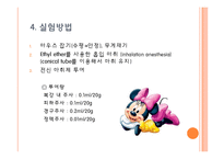 [독성학] 실험 동물 다루는 법-11