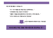 냉동 닭튀김 가공식품 브랜드 광고 전략-13