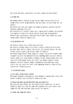 [국제기업환경론] 인도네시아에 대한 분석-10