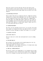 [국제기업환경론] 인도네시아에 대한 분석-11