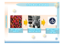 [조직이론] 아모레 퍼시픽(Amore Pacific)조직문화 분석-6