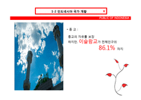 [국제기업환경론] 인도네시아에 대한 분석-5