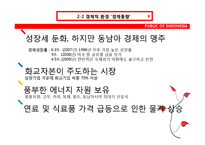 [국제기업환경론] 인도네시아에 대한 분석-14