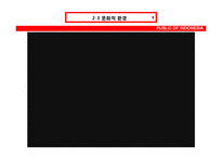 [국제기업환경론] 인도네시아에 대한 분석-19