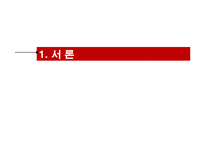 [마케팅] 아시아나 항공(Asiana Airline)의 마케팅 전략-3