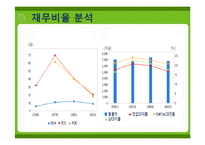 [경영분석] 진로의 기업사례 분석-17