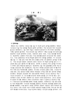 [전쟁사] 한국전쟁 당시 영천전투의 배경과 의미 분석-3