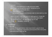 골다공증의 이해-12