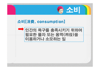 [문화연구] 유행과 소비(골드키즈)-4