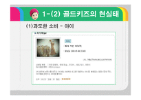 [문화연구] 유행과 소비(골드키즈)-13