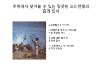 [매스컴과 현대사회] 오리엔탈리즘-6