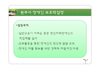 [장애인복지론] 장애인과 취업-6