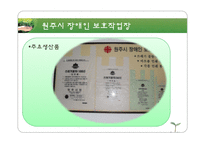 [장애인복지론] 장애인과 취업-8