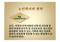 [사회복지실습] 노인복지-4