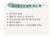 [한국문학의 이해] 아기장수 설화-9
