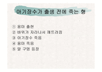 [한국문학의 이해] 아기장수 설화-12