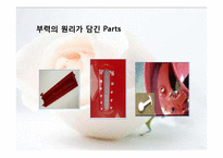 [창의적설계실습] 제품 해체 설계추론(Coffee Maker 집중 해부)-19