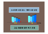 프리미엄 햄 신규 브랜드 런칭 브랜드 커뮤니케이션 전략-11