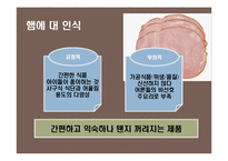 프리미엄 햄 신규 브랜드 런칭 브랜드 커뮤니케이션 전략-13