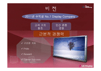 [재무제표분석] `LG디스플레이` 기업분석-3