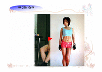 비교정치론 특성 ppt발표자료-11