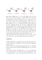 [A+, 유전학] DNA의 모양, 해독, 전사-3