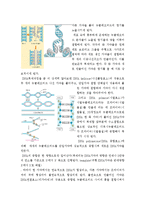 [A+, 유전학] DNA의 모양, 해독, 전사-4