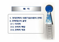 기업 수준의 전략-2