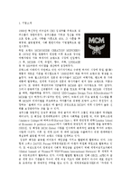 MCM SWOT / STP / 4P`s MIX 분석, MCM 마케팅 전략 및 시장환경분석, 성주 인터내셔널 CEO 김성주의 성공 요인-2