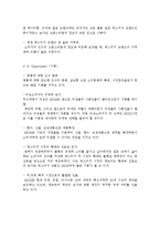 MCM SWOT / STP / 4P`s MIX 분석, MCM 마케팅 전략 및 시장환경분석, 성주 인터내셔널 CEO 김성주의 성공 요인-8